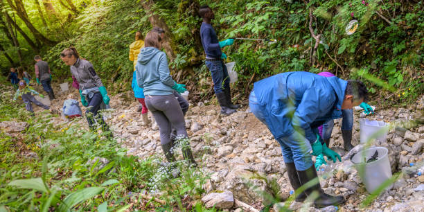 istock Mixed age group of volunteers picking up rubbish 1292107530