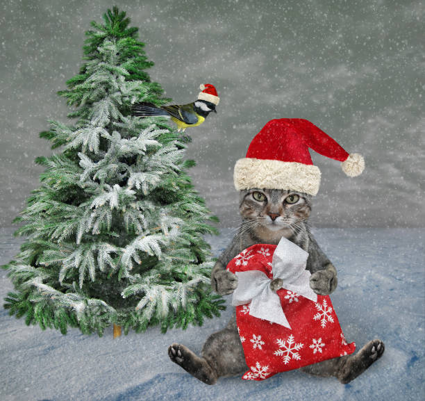 istock Cat gray sits with Christmas sack 2 1292109691