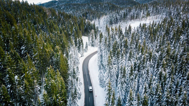 istock Curvy windy road in snow covered forest, top down aerial view 1292109700