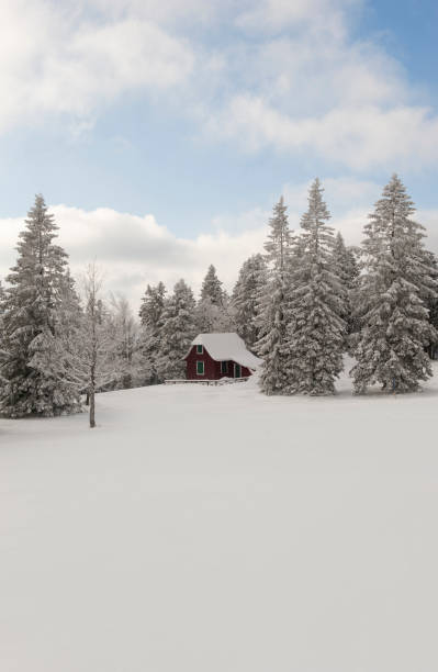 istock Winter idyll in the Black Forest 1292114395