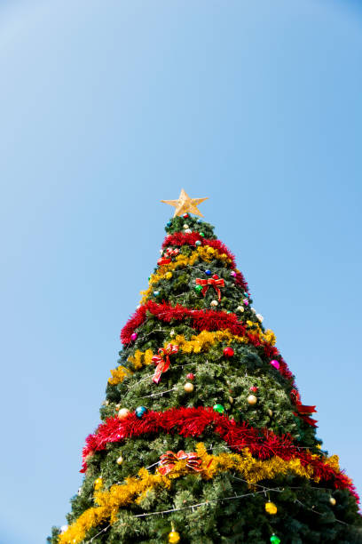 Christmas tree and blue sky Christmas tree and blue sky christmas star shape christmas lights blue stock pictures, royalty-free photos & images