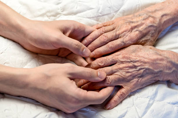 노인과 젊은 손. 손자의 젊은 손에 82 세의 노인의 손 - 노화 뉴스 사진 이미지