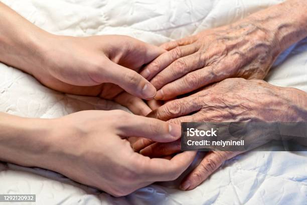 Old And Young Hands Hands Of An Old Woman82 Years In The Young Hands Of A Grandson Stock Photo - Download Image Now