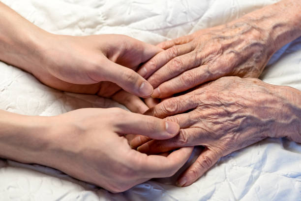 old and young hands. hands of an old woman-82 years in the young hands of a grandson - years imagens e fotografias de stock