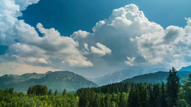 Germany, Allgaeu, Thunderstorm clouds form above the majestic peaks of the alps mountains and green tree tops nature landscape on buchenberg