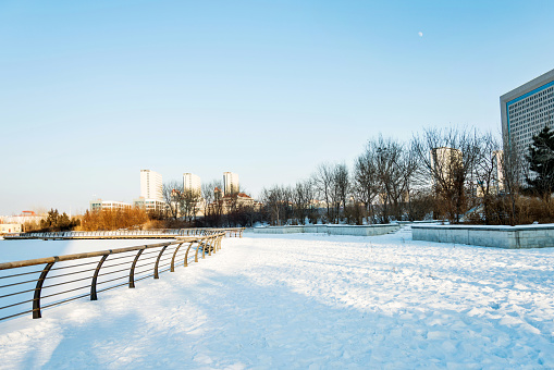 The lake in the park covering with snow.