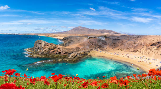 landscape with papagayo beach - lanzarote bay canary islands beach imagens e fotografias de stock