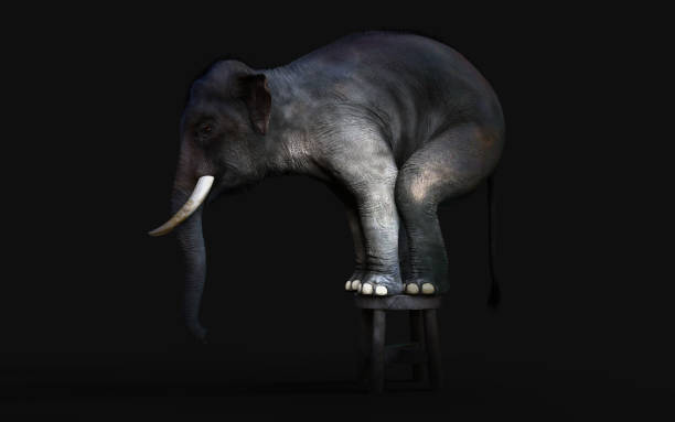 3d Illustration of an Elephant Standing on a small Stool
