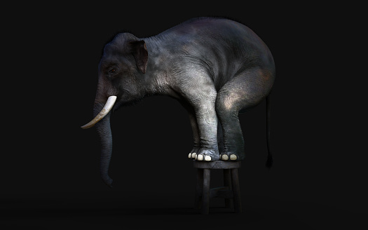 3d Illustration of an Elephant Standing on a small Stool isolated on Dark Black Background with Clipping Path.