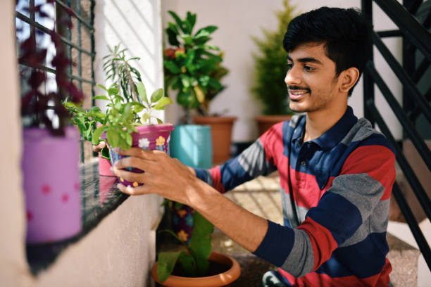 istock Teenage boy working on indoor plants 1292124480