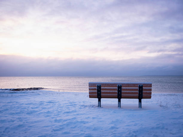 iconic memorial bench on the cape cod beach in snow - beach bench cape cod sunset imagens e fotografias de stock
