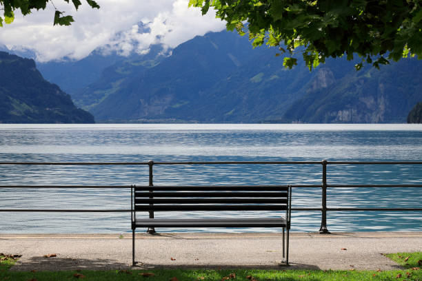 istock An empty bench by the railing on the shore of Lake Lucerne, Vierwaldstattersee 1292126382