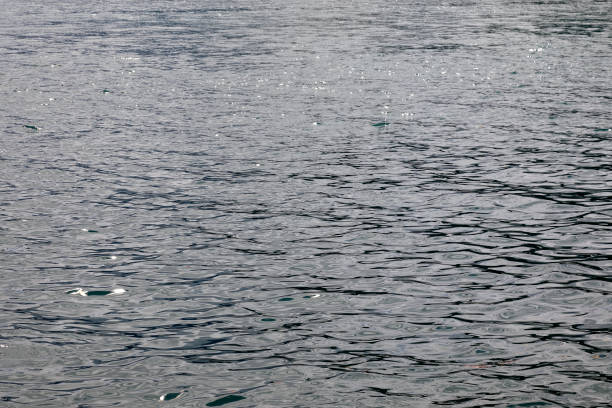istock Water surface of Lake Lucerne, Vierwaldstattersee 1292126506