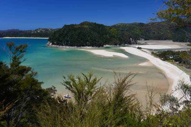 istock Abel Tasman National Park 1292126632