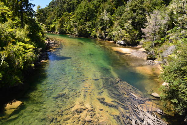 istock Abel Tasman National Park 1292126798