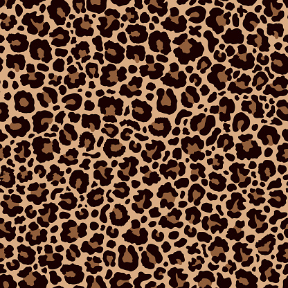 Leopard print.Abstract  leopard skin seamless pattern.