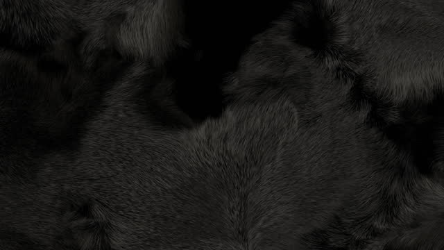 Black Fur Background