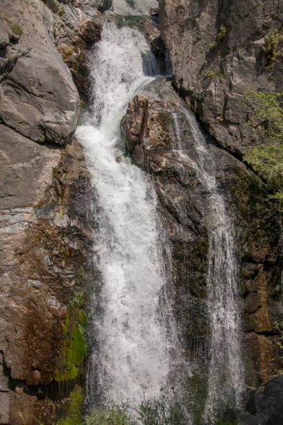 istock Stream in Ida Mountain, Beautiful nature. Turkey. 1292132054