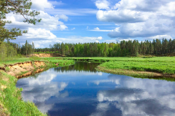 istock landscape small river in the forest on a blue cloudy sky 1292134462