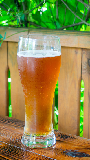 Large glass with beer on the background of nature