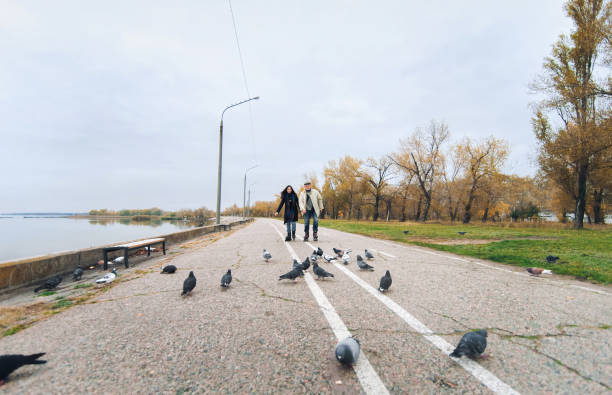 Happy pension. Active old people. The old man in glasses goes on rollers with his daughter into the autumn park. Happy pension. Active old people. The old man in glasses goes on rollers with his daughter into the autumn park with doves. pigeon family stock pictures, royalty-free photos & images