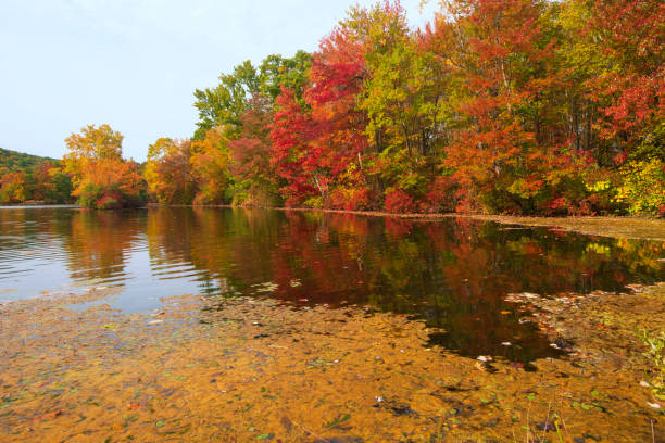 istock Fall colors at Hidden Lake 1292135230