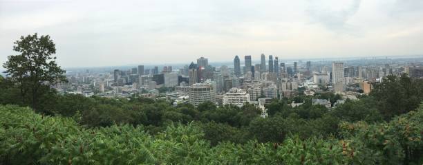 istock A View of Montreal 1292135412