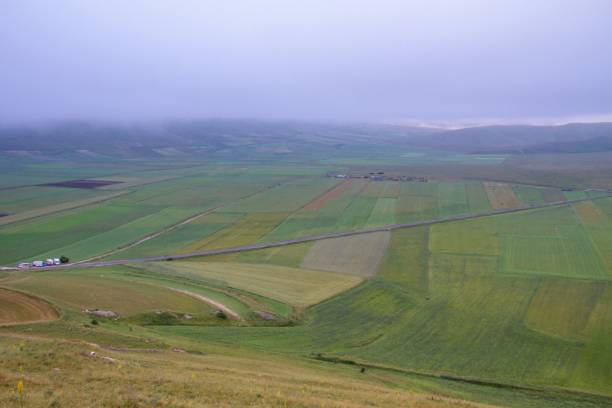 istock CASTELLUCCIO DI NORCIA AND ITS FLOWERING 1292139981