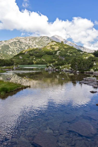 istock Banderitsa River Valley, Pirin Mountain, Bulgaria 1292142701