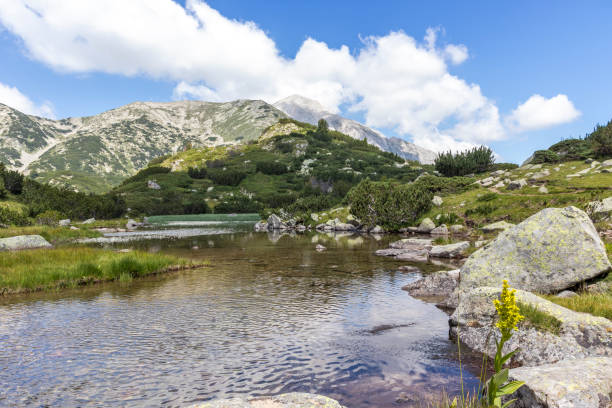 istock Banderitsa River Valley, Pirin Mountain, Bulgaria 1292142756