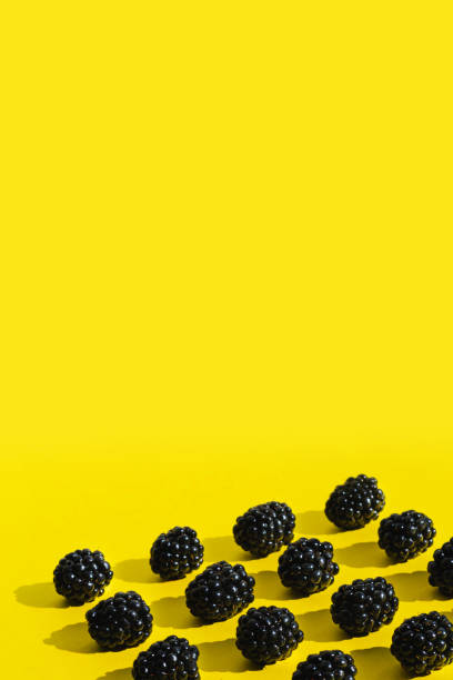 Blackberries isolated on Illuminating yellow background with copy space. Many organic ripe blackberries in sunlight. Trendy creative concept with hard shadows. Black berries in a row front view.