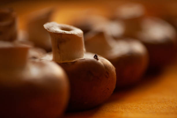 Macro Image of fresh organic chestnut mushrooms