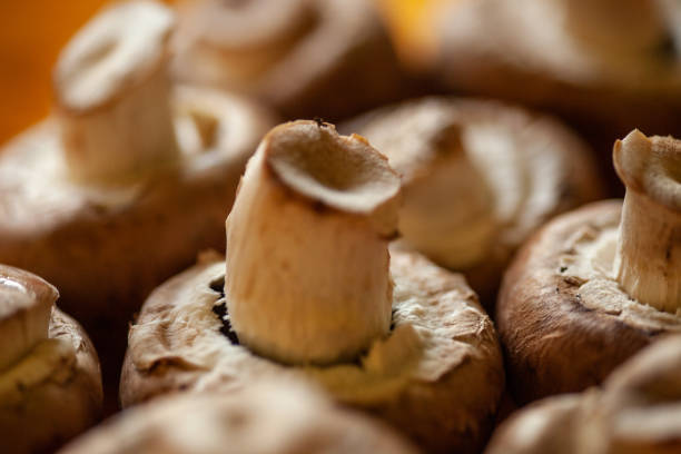 Macro Image of fresh organic chestnut mushrooms
