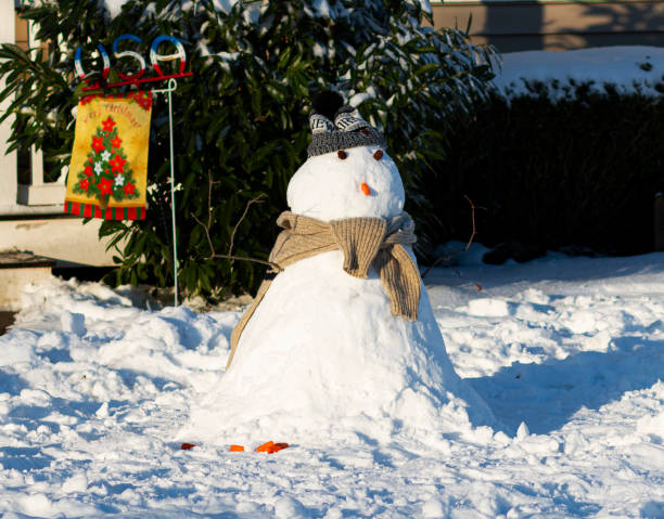istock Small snowman with a hat and scarf 1292152076