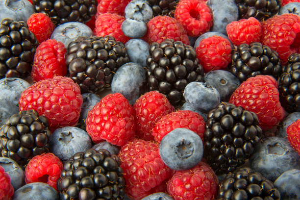 istock Berries of blackberry, blueberry, raspberry. Close up. Selected focus. 1292153542