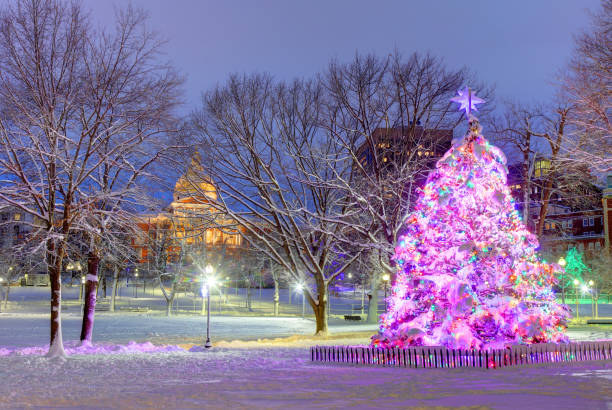 istock Boston Christmas Tree and State House 1292159209