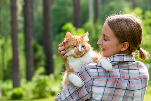 Close up of smiling woman in checked shirt hugging and embracing with tenderness and love domestic ginger cat, stroking on the head, outdoors in sunny day. Love to the animals
