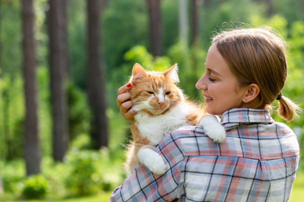 Smiling woman in checked shirt hugging and embracing with tenderness and love domestic ginger cat, stroking on the head, outdoors in sunny day. Love to the animals Close up of smiling woman in checked shirt hugging and embracing with tenderness and love domestic ginger cat, stroking on the head, outdoors in sunny day. Love to the animals ginger cat stock pictures, royalty-free photos & images