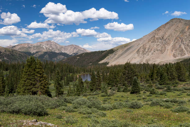 Mount Yale in the distance rises above the mountain valley. stock photo