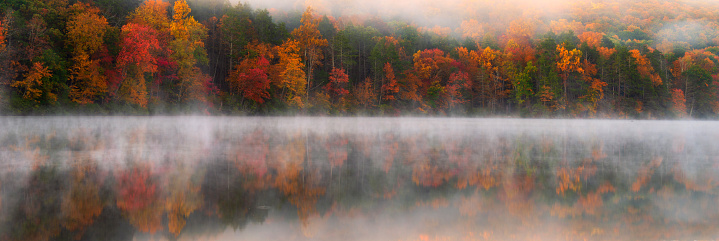 autumnal nature scenery by the lake among forest on a foggy morning. trees in colorful foliage reflecting in the water. gloomy weather