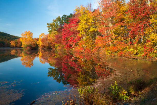 istock Fall colors at Hidden Lake 1292164167