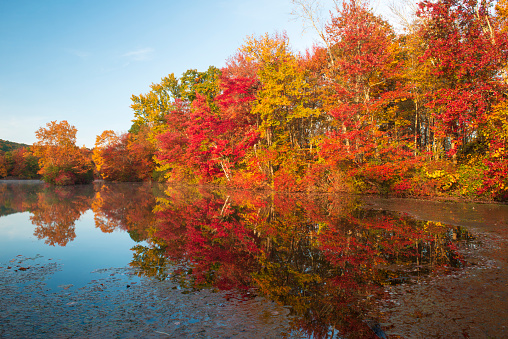 Fall colors at Hidden Lake, Delaware Water Gap National Recreation Area, Pennsylvania, USA