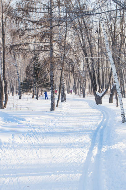 冬公園のスキーコース。自然、健康的なライフスタイル、垂直フレームの概念 - rural scene russia ski track footpath ストックフォトと画像