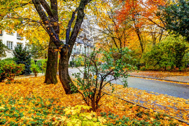 istock Fall colours in the parks of  Munich Germany 1292166365