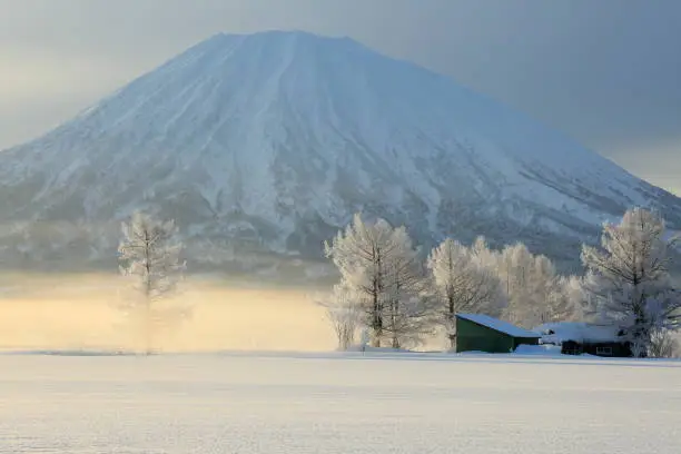 I saw trees painted silver with frost, old farmhouses and Mount Yotei in Niseko, Japan.