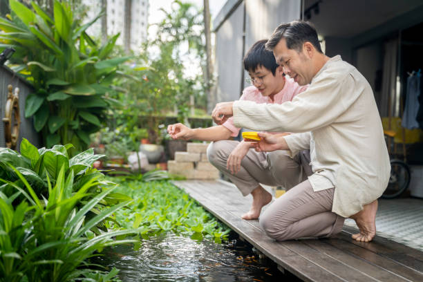 единения между азиатскими китайцами взрослый отец и сын - water lettuce plant water plant water стоковые фото и изображения