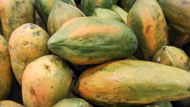 Big sweet papaya on market