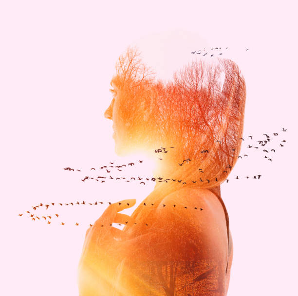 istock Multiple exposure of woman, nature and migrating geese 1292193167