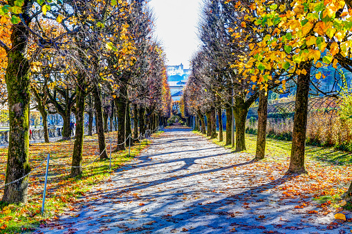 Road made of granite dropouts in an autumn park