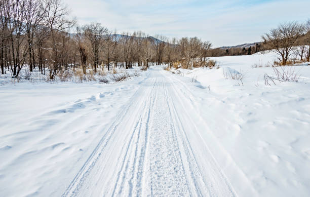 istock Tire tracks on the road through forest 1292195400